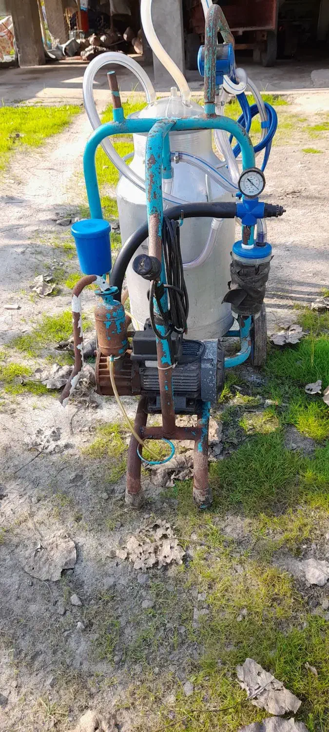 شیردوش|لوازم جانبی حیوانات|آستانه اشرفیه, |دیوار