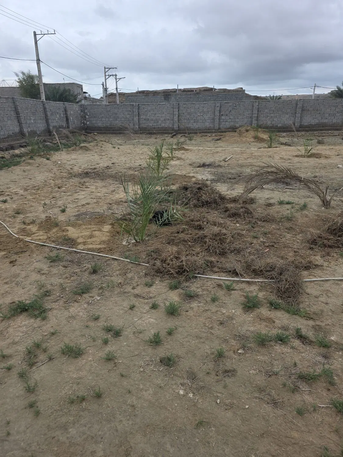 تصویر 2