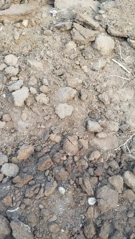 کودحیوانی|خدمات باغبانی و درختکاری|دامن, |دیوار