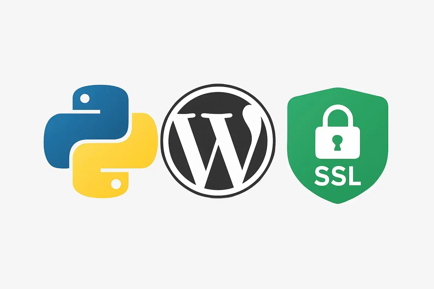 طراحی سایت وردپرس / پایتون|خدمات رایانهای و موبایل|تهران, پونک|دیوار