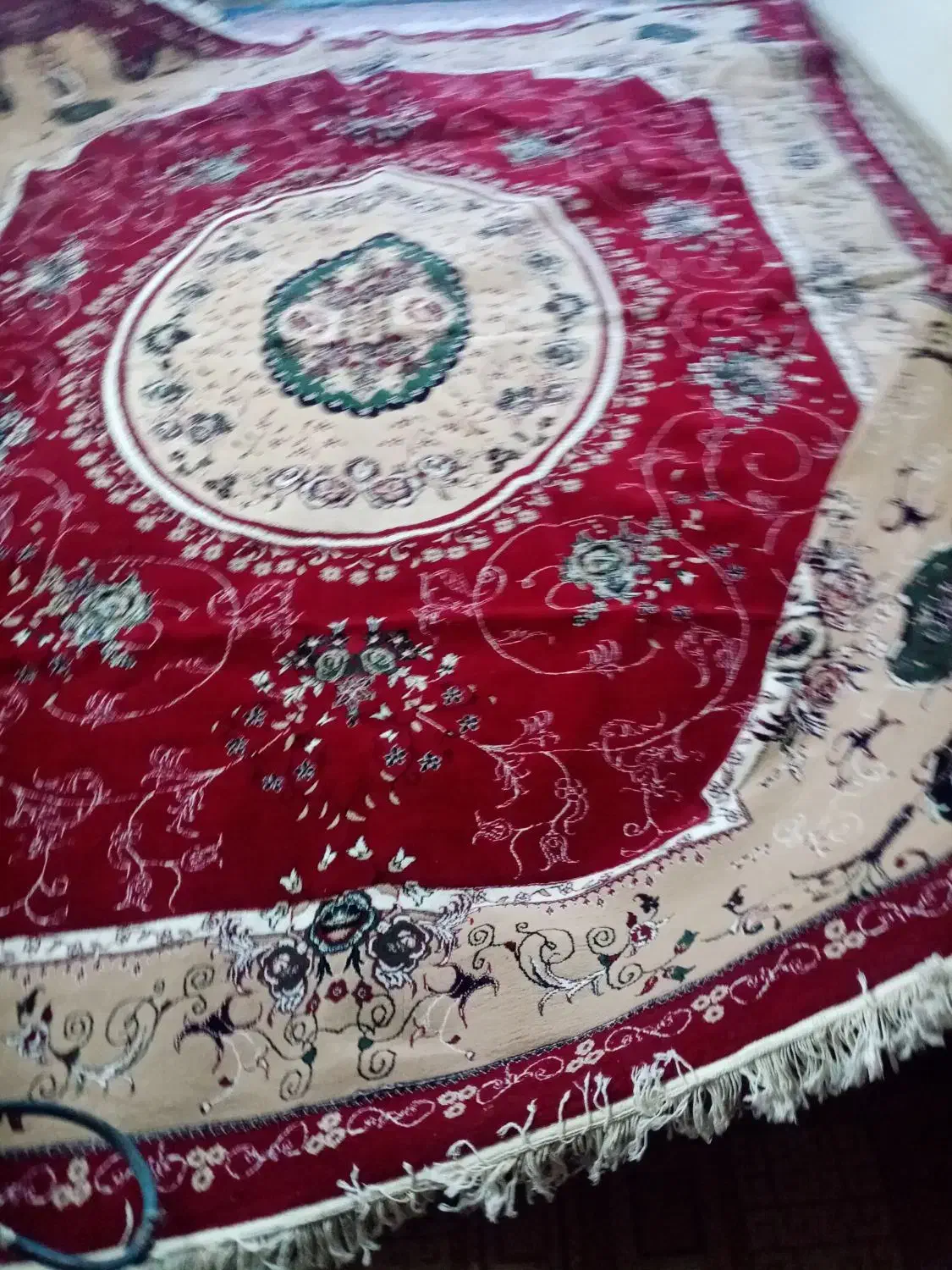 قالی|فرش|زرند, |دیوار