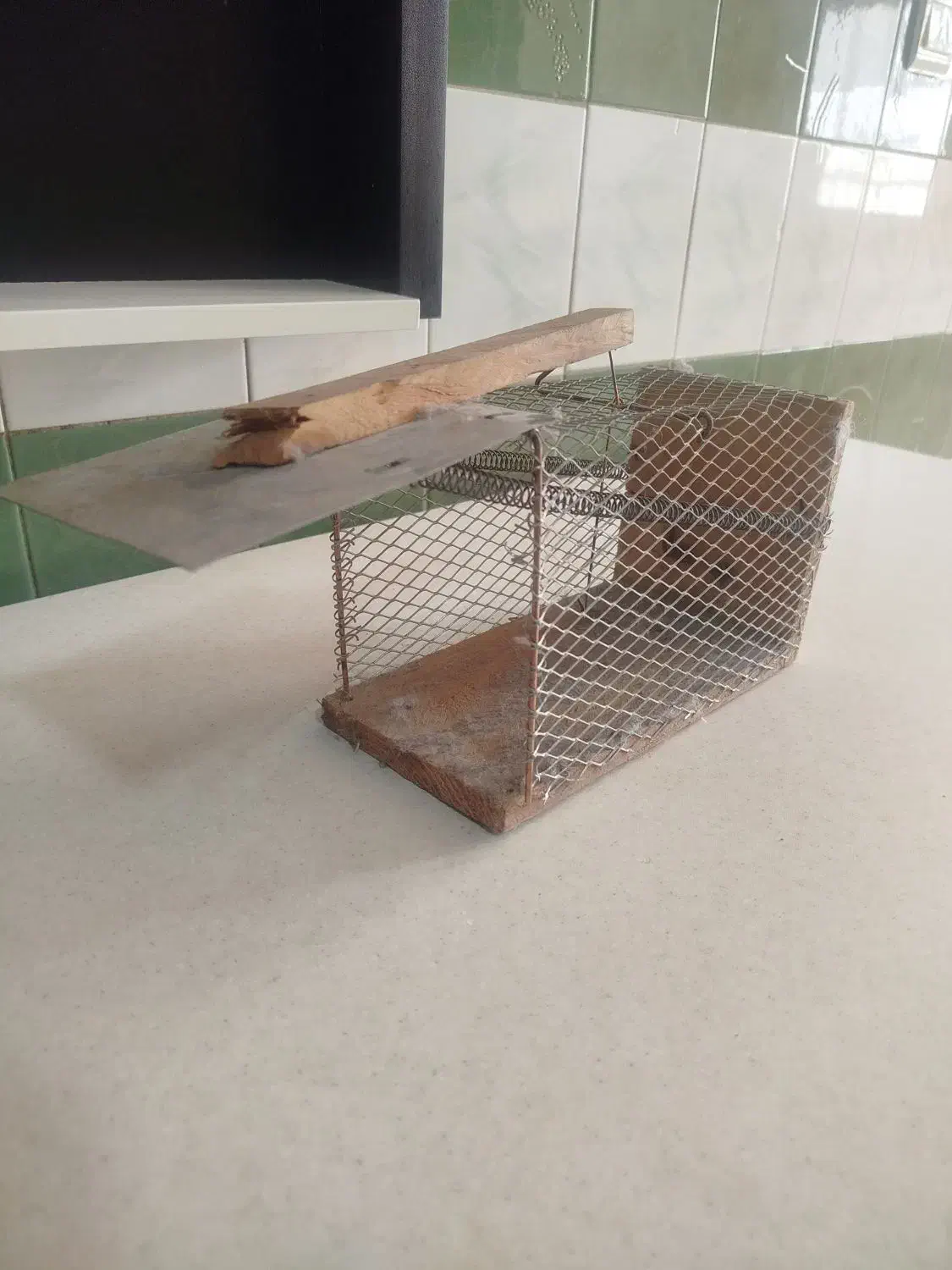 تله موش|لوازم نظافت|پاکدشت, پاکدشت (مامازند)|دیوار