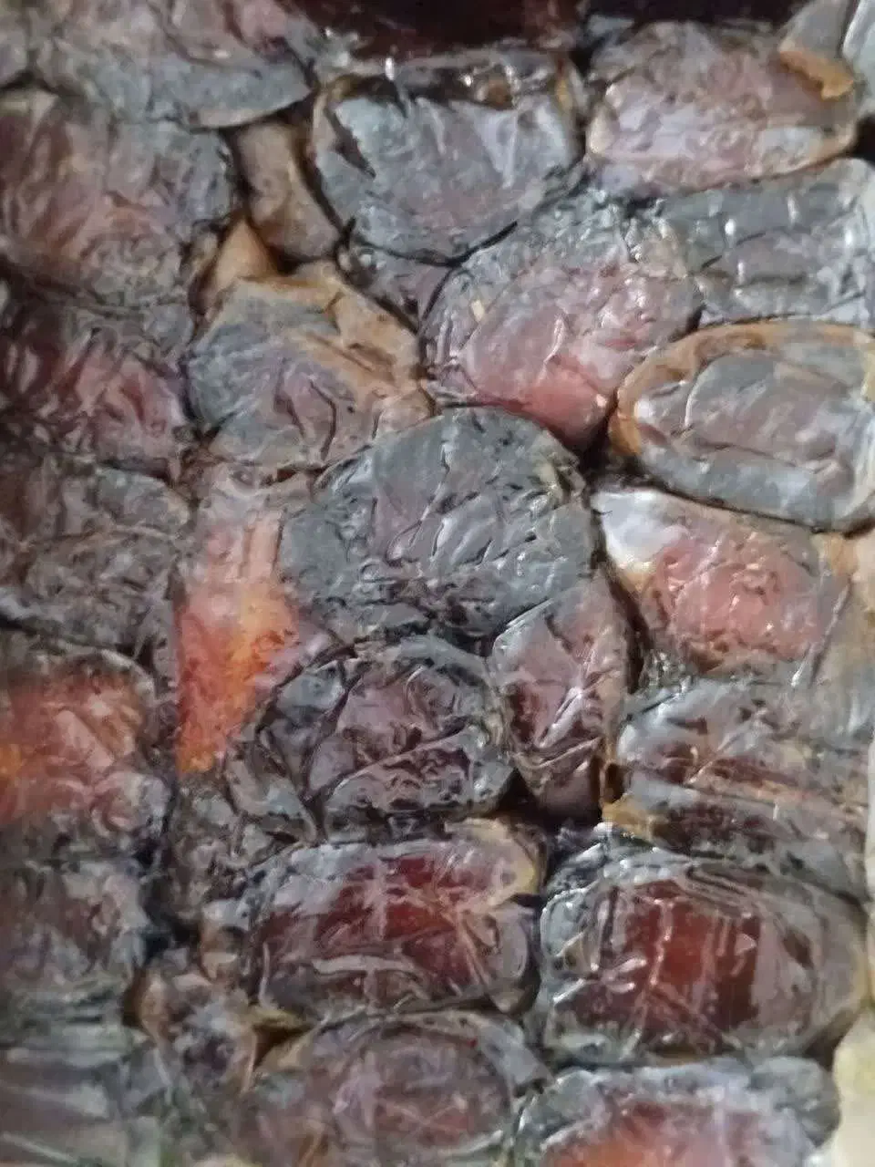 خرما کبکاب اعلا|خوردنی و آشامیدنی|مشهد, کوه سنگی|دیوار