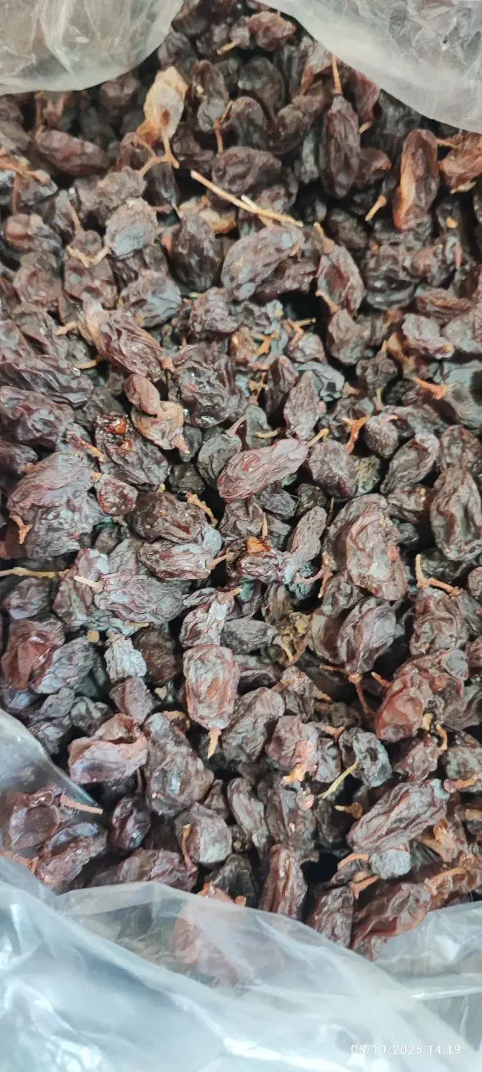 مویز آفتاب خشک|خوردنی و آشامیدنی|کوار, |دیوار