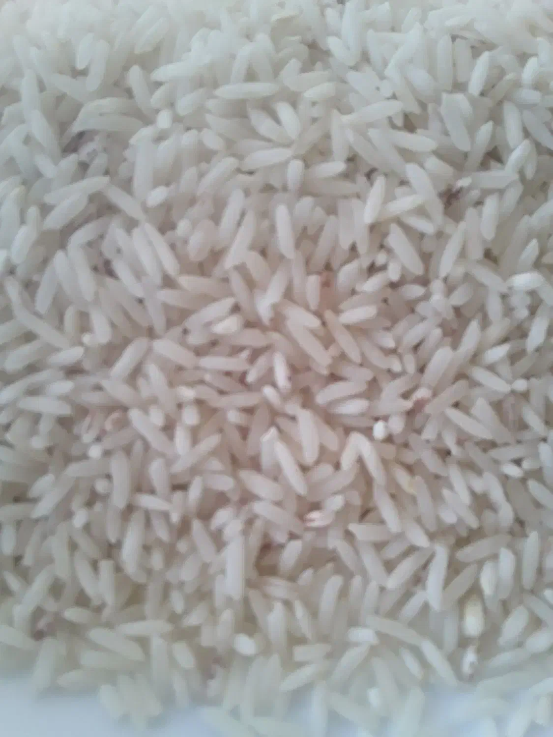 برنج طارم|خوردنی و آشامیدنی|ایلام, |دیوار