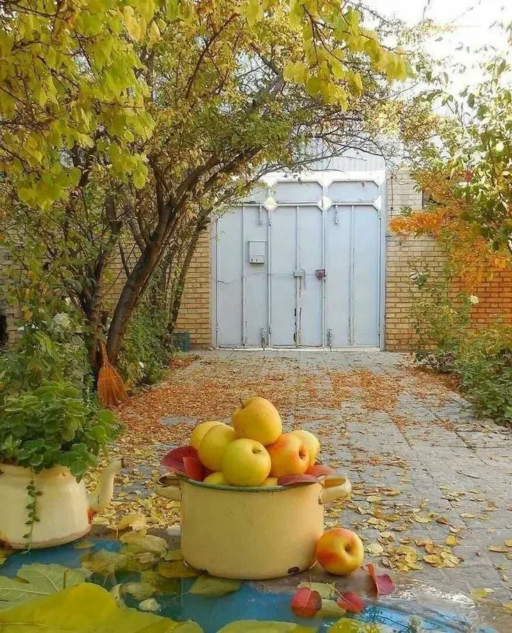 دنبال همخونه موجه هستم|اجارهٔ خانه و ویلا|گنبد کاووس, |دیوار