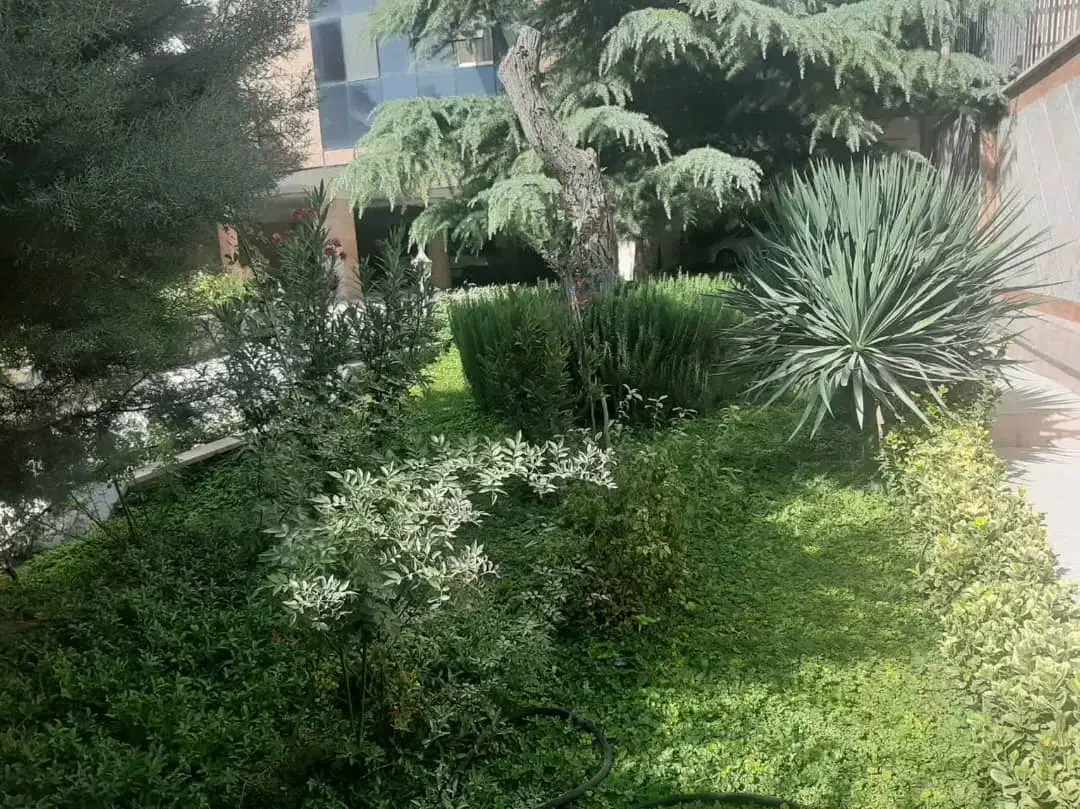 500 متر زمین چهاردیواری سهیلیه|فروش زمین و ملک کلنگی|رامجین, |دیوار