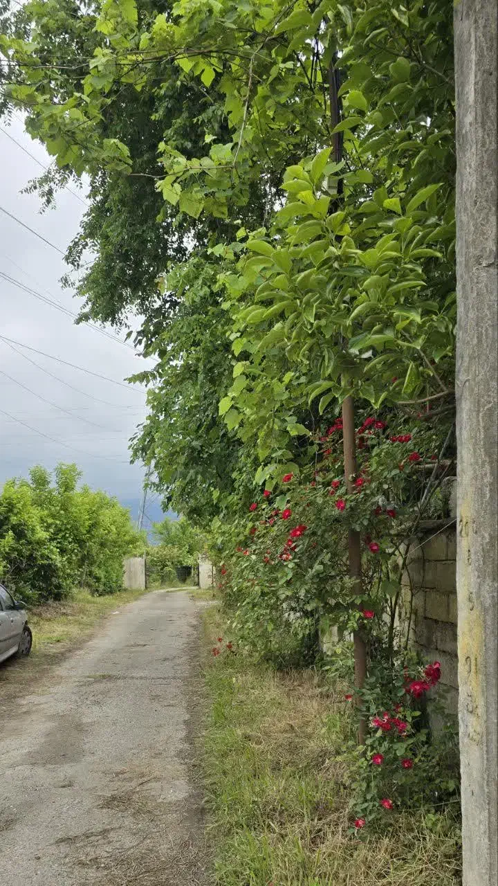 اجاره خانه ویلایی ۷۵ متری ۱ خوابه|اجارهٔ خانه و ویلا|نشتارود, |دیوار