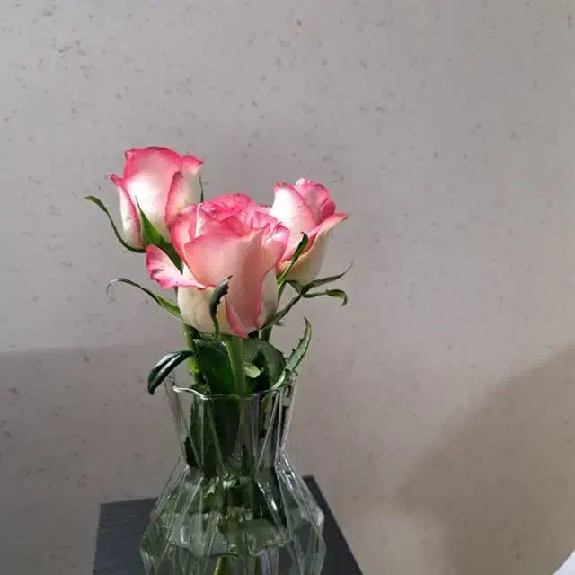 مشاوره|فعالیت داوطلبانه|اصفهان, دانشگاه اصفهان|دیوار