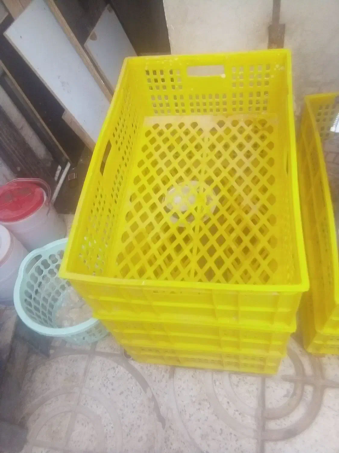 باسلام ۶عددسبدسبزی درحدنو سال بفروش میرسد.فوری|ظروف نگهدارنده، پلاستیکی، یکبارمصرف|محمدشهر, شهرک چمران|دیوار