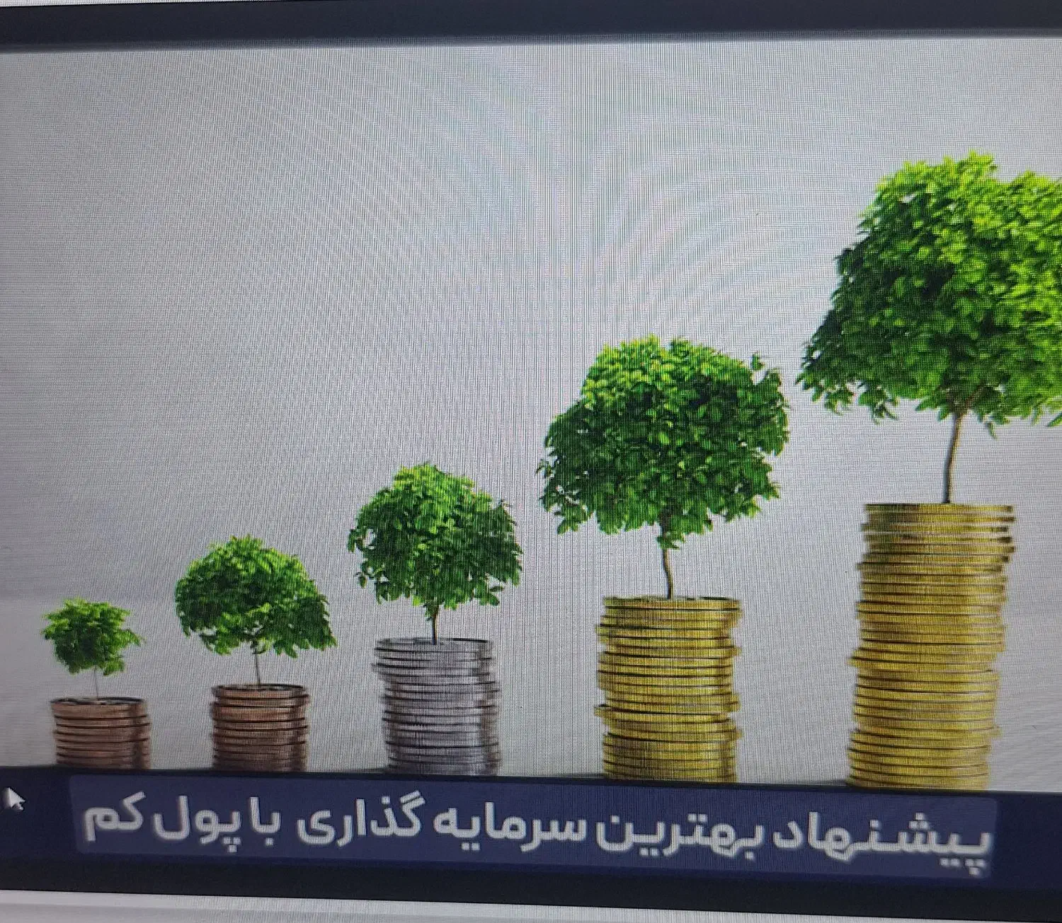 شریک کاری میشم|فعالیت داوطلبانه|ری, دیلمان|دیوار