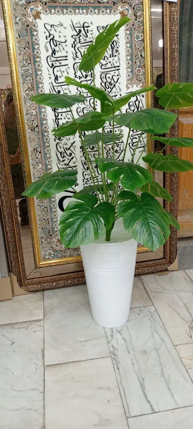 گل انجیری 18 برگ با گلدان فی 600|گل و گیاه طبیعی|کرمانشاه, |دیوار