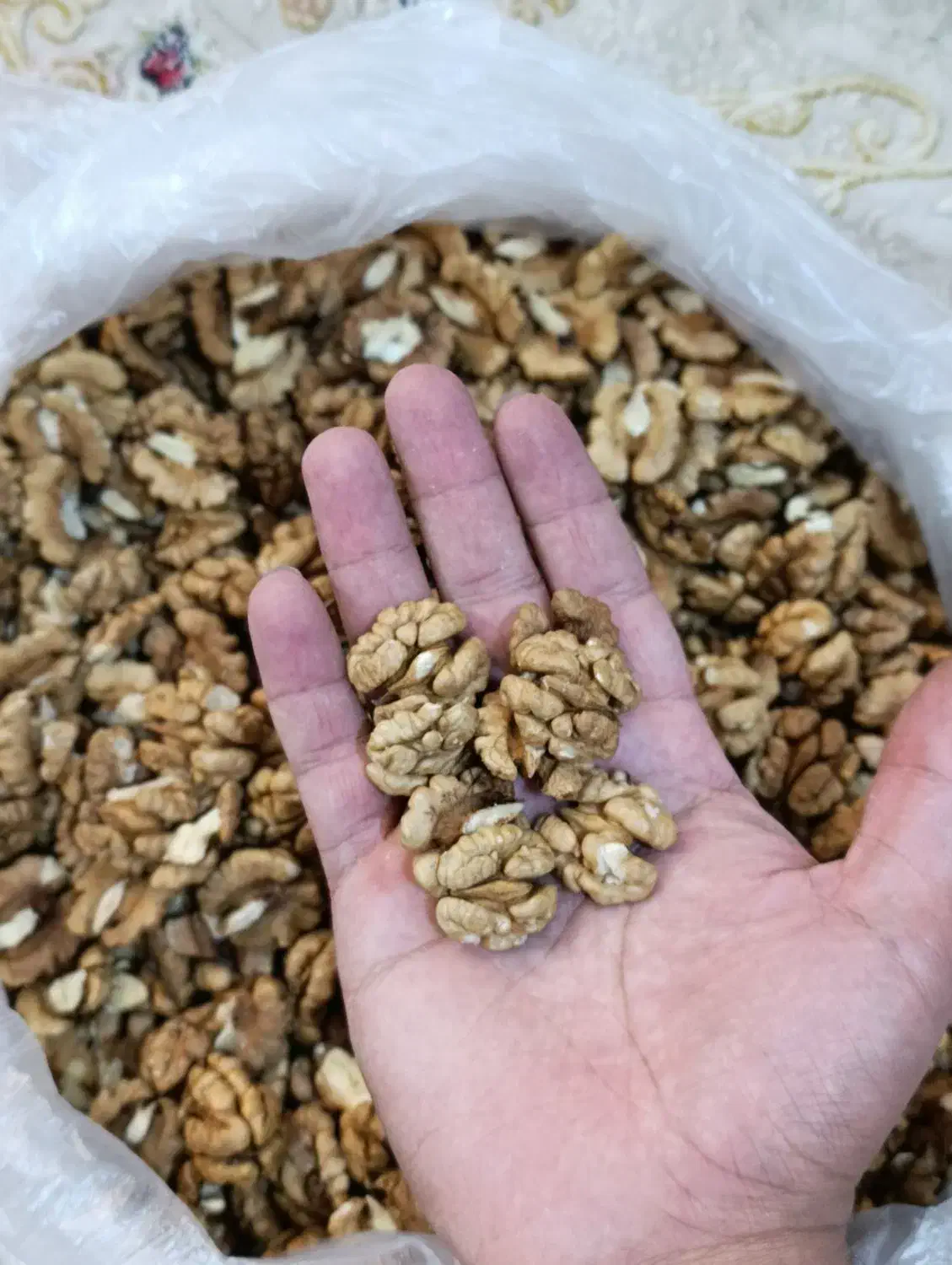 گردو|خوردنی و آشامیدنی|سبزوار, گلشن|دیوار