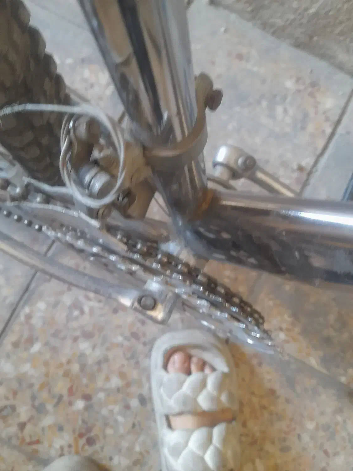 دوچرخه ۲۶|دوچرخه، اسکیت، اسکوتر|شیراز, شهرک مهرگان|دیوار