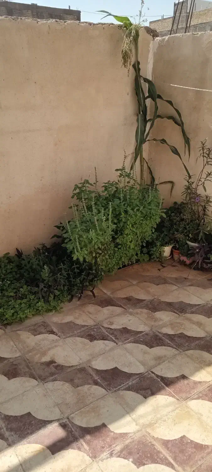 فروش منزل مسکونی|فروش زمین و ملک کلنگی|شیراز, جرسقان|دیوار