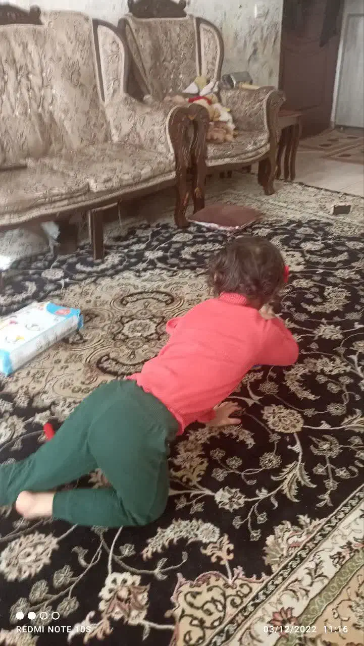 فرش ۱۲متری|فرش|پرند, فاز ۴|دیوار