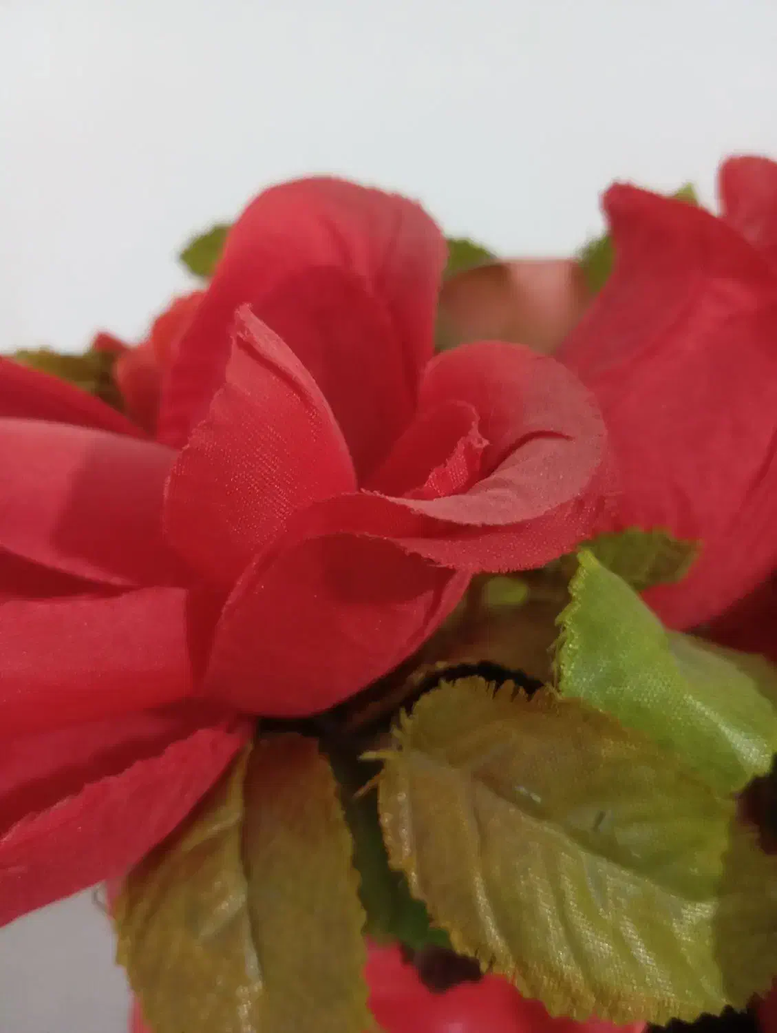 وام ازدواج|فعالیت داوطلبانه|داراب, |دیوار