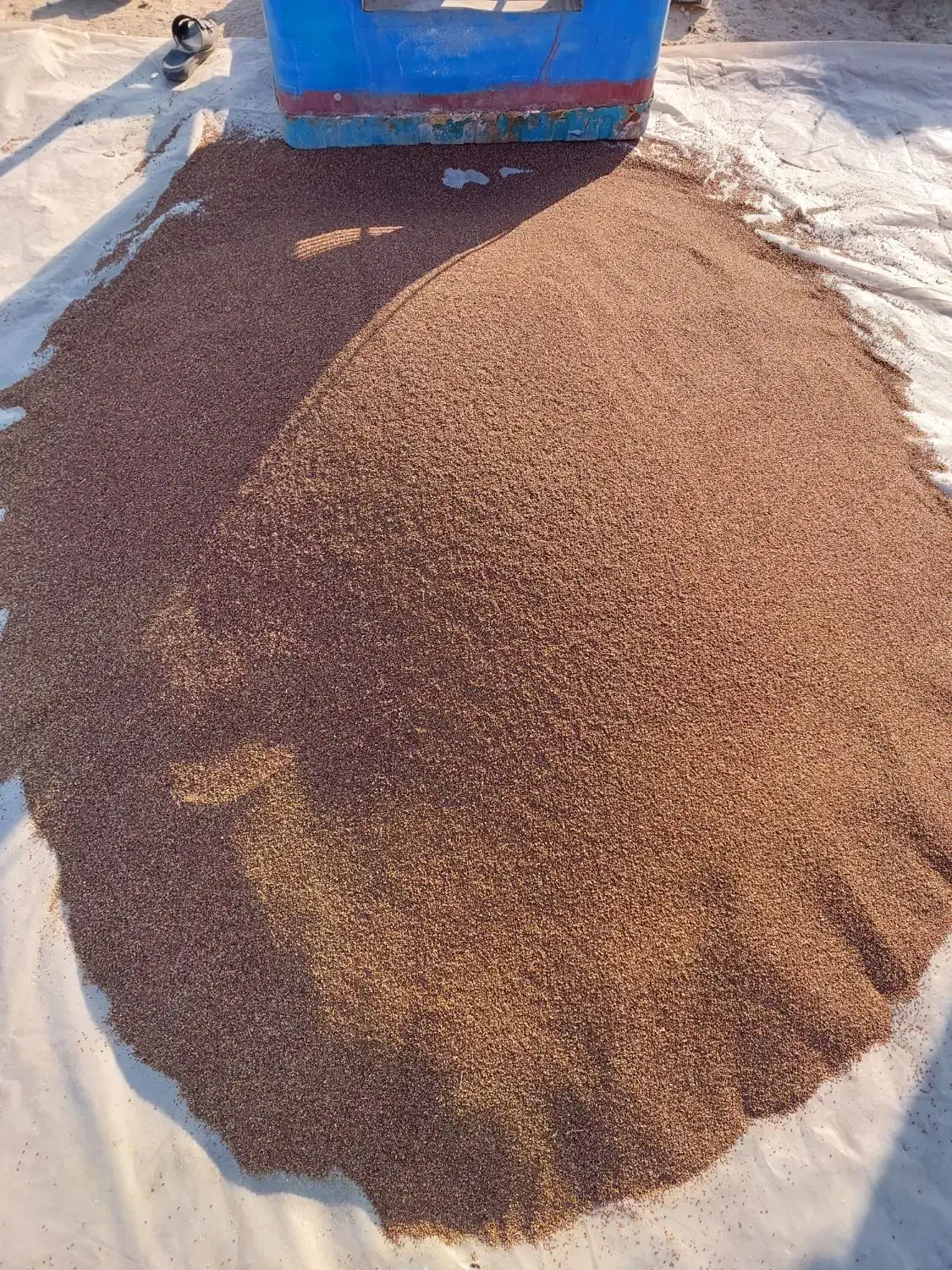 کنجد امسال دو تن نیم|خوردنی و آشامیدنی|محمله, |دیوار