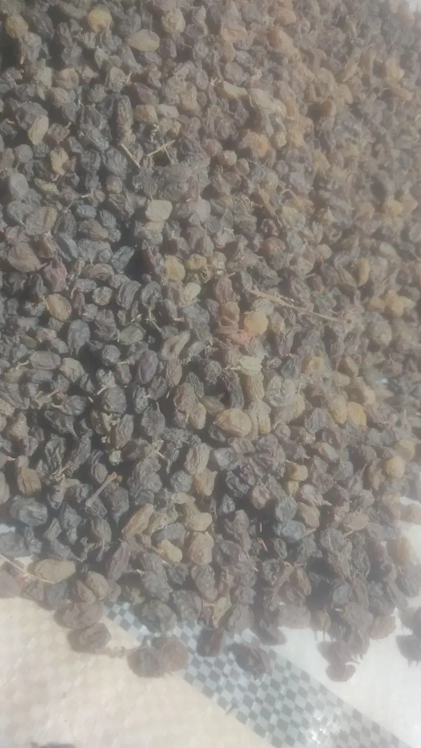 کشمش آفتابی|خوردنی و آشامیدنی|قره چای, |دیوار