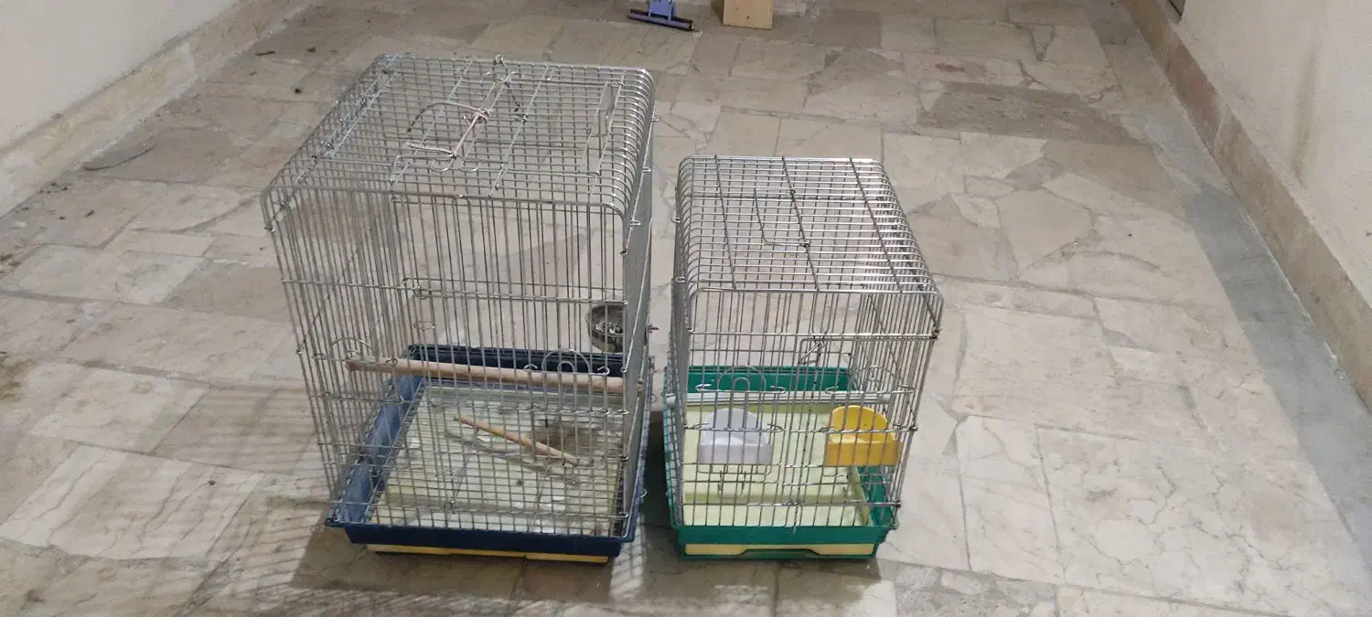دو عدد قفس کاسکو|لوازم جانبی حیوانات|تهران, شهران جنوبی|دیوار