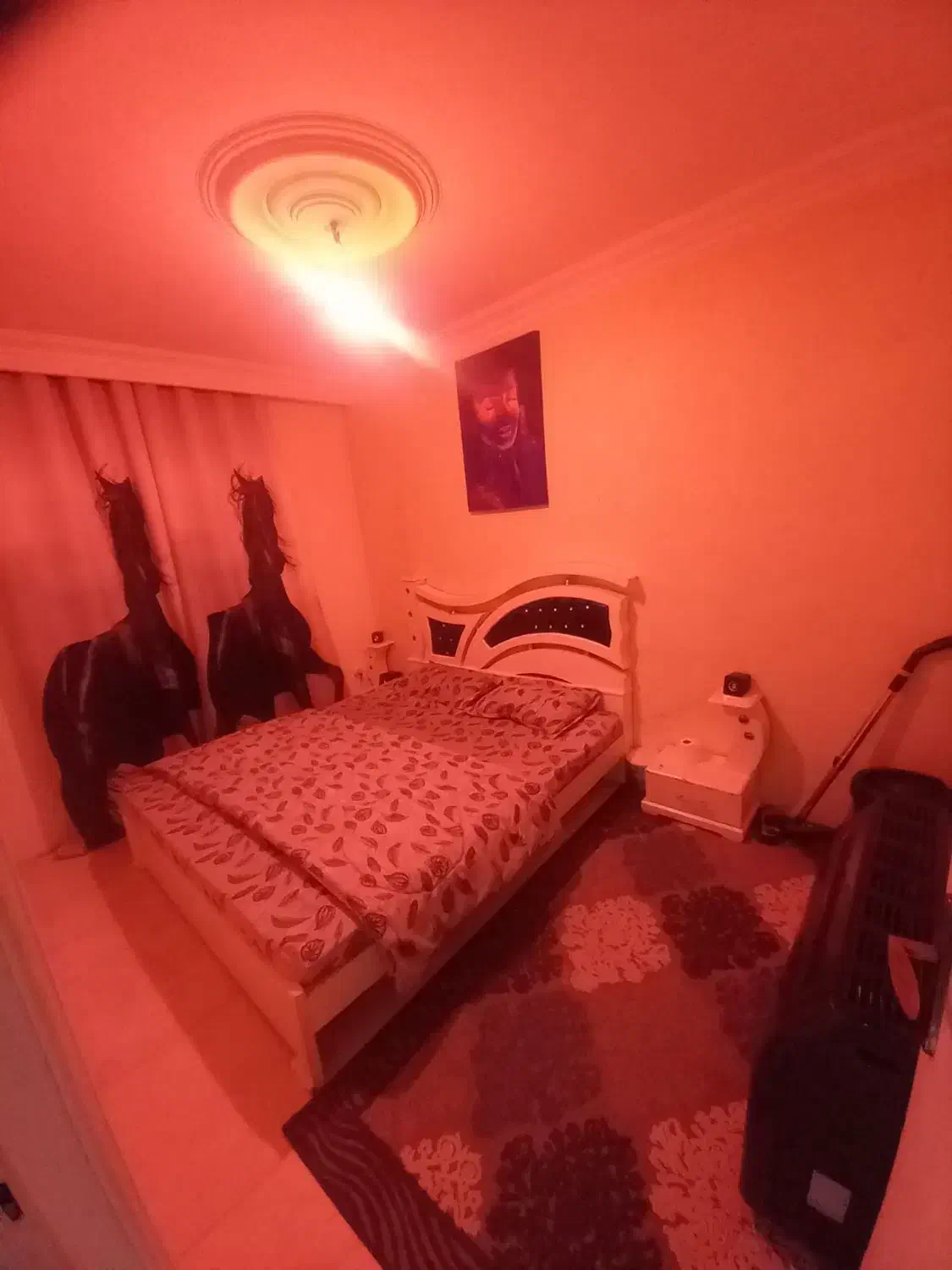 اجاره سوییت روزانه/هفتگی/ماهانه در الهیه|اجارهٔ کوتاه‌مدت آپارتمان و سوئیت|مشهد, الهیه|دیوار