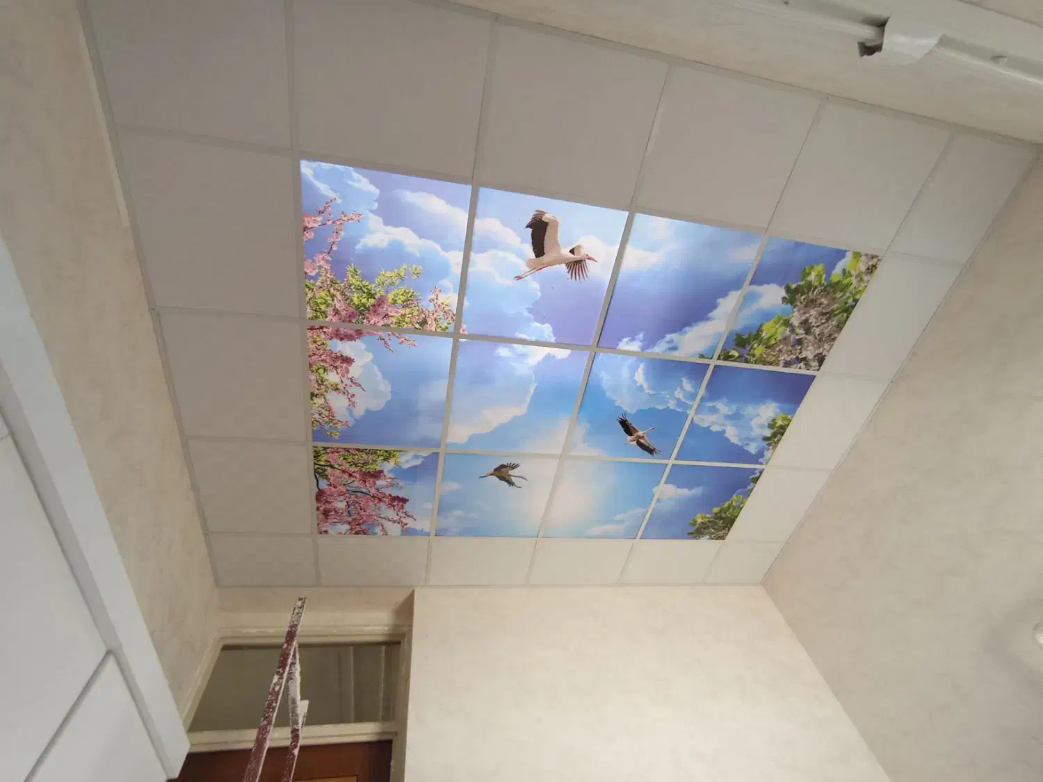 سقف کاذب نصاب کناف.پی وی سی.تایل|خدمات پیشه و مهارت|لردگان, |دیوار