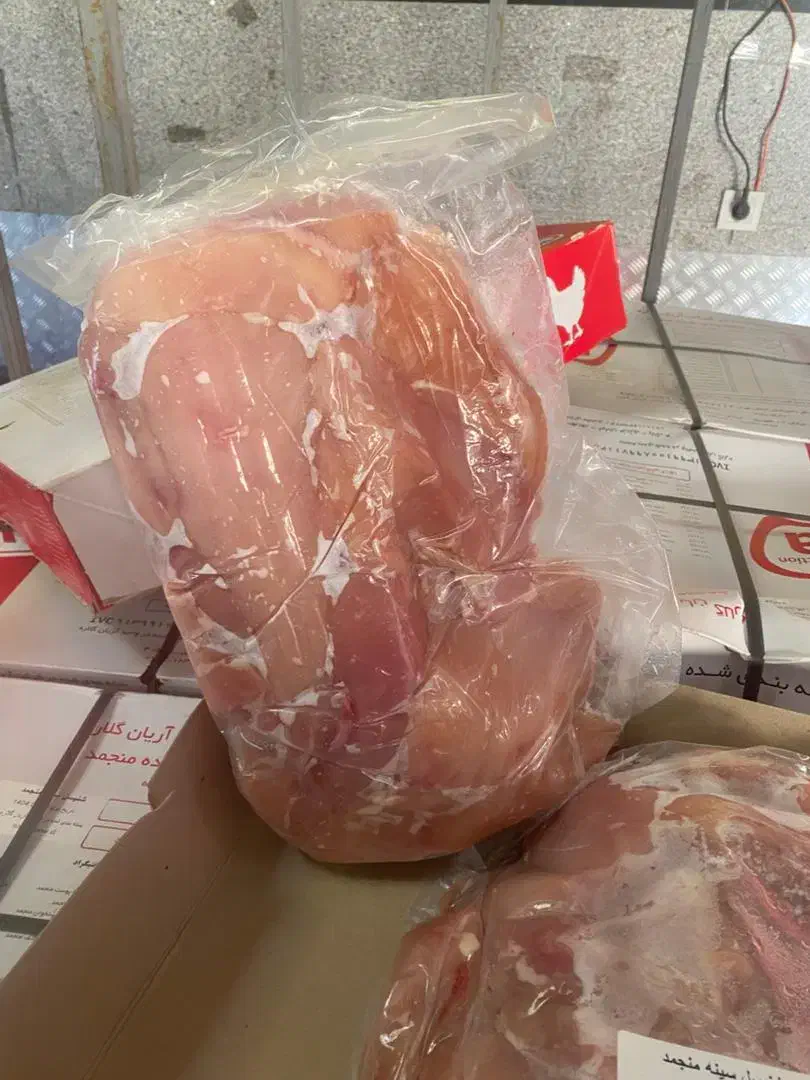 شینسل مرغ درجه یک|خوردنی و آشامیدنی|تهران, فتح|دیوار