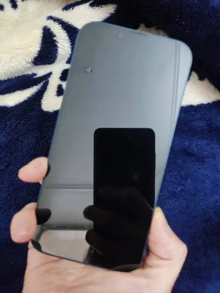 گوشی ایفون 13نرمال|موبایل|گنبد کاووس, |دیوار