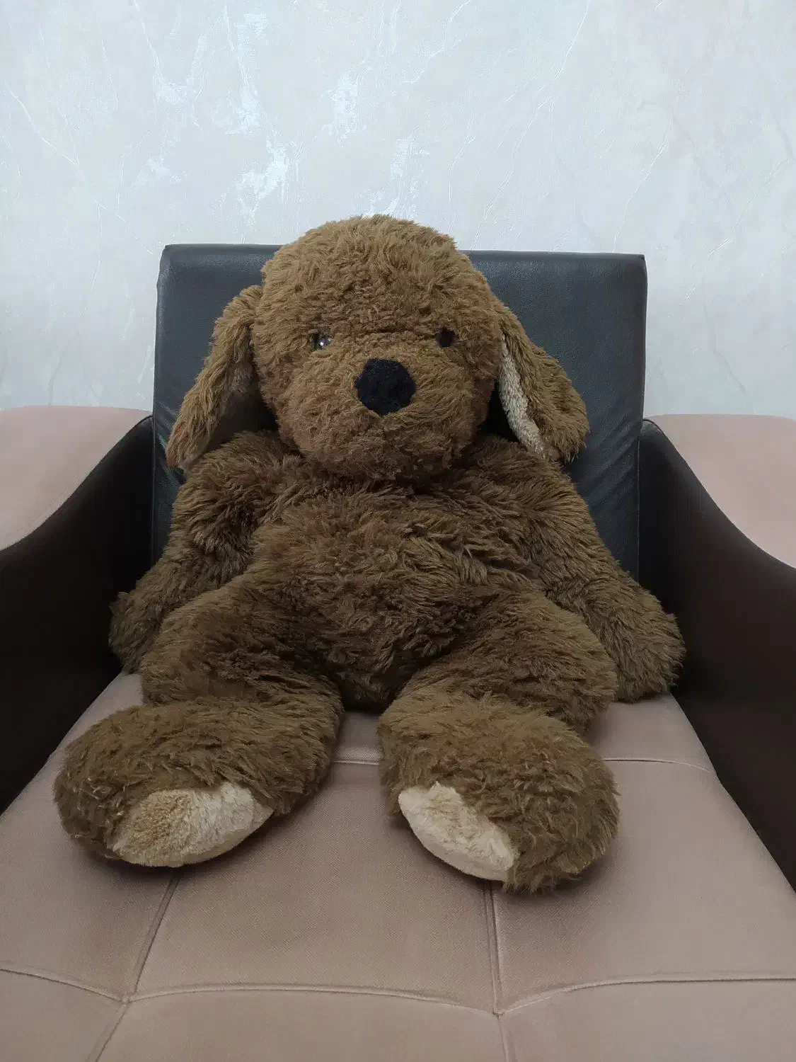 خرس عروسکی|اسباب‌‌بازی|تبریز, |دیوار