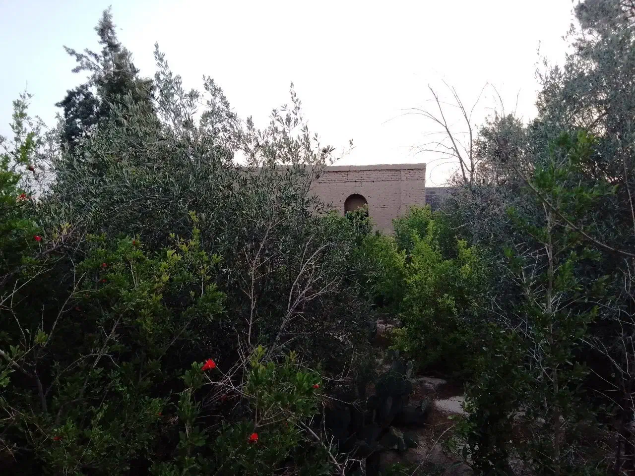 ویلا باغ|فروش زمین و ملک کلنگی|جوادآباد, |دیوار