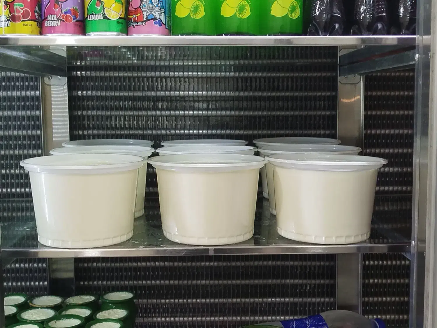 ماست و دوغ محلی|خوردنی و آشامیدنی|مهریز, |دیوار