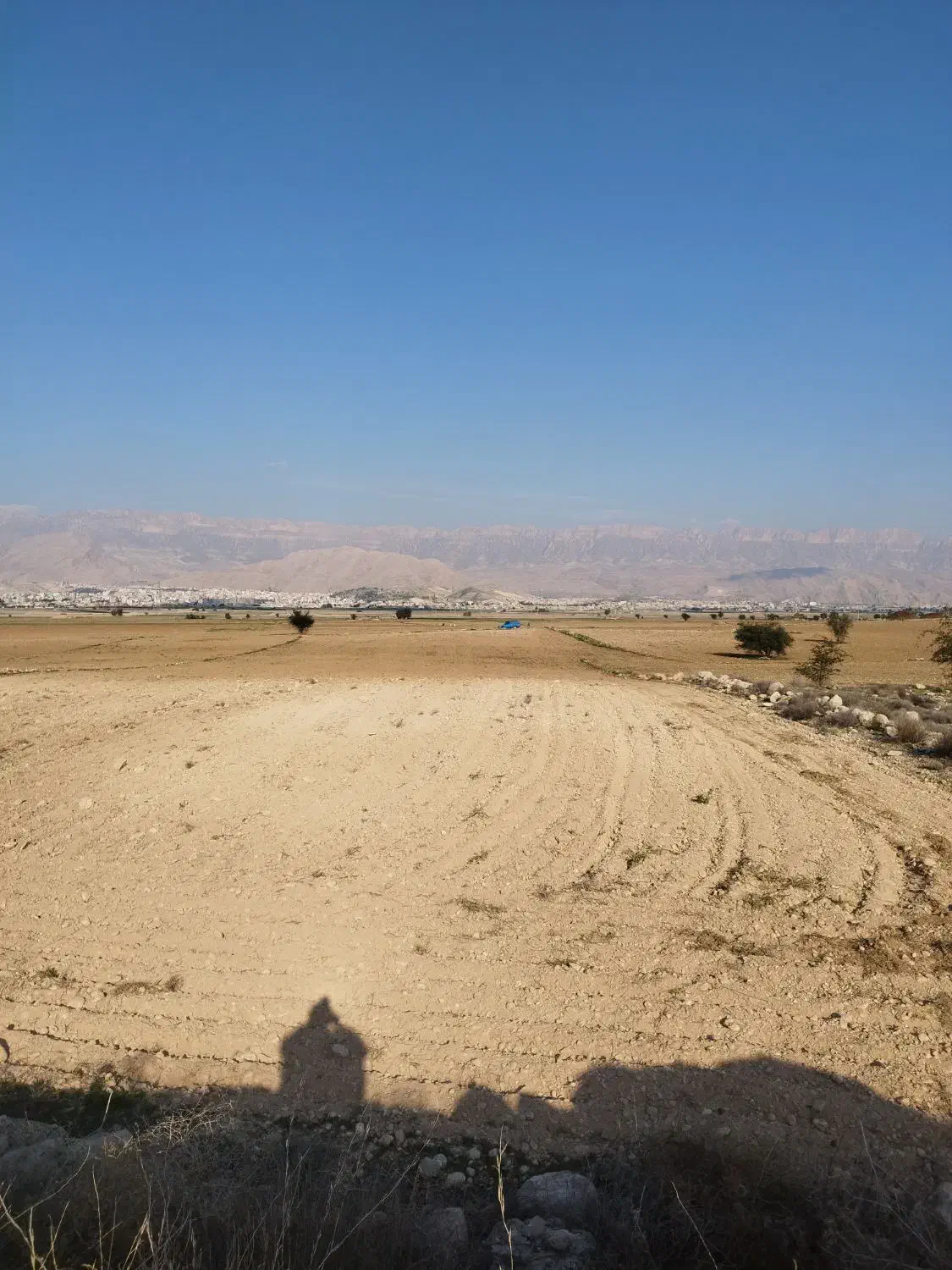 زمین کشاورزی کشت دیم|فروش دفتر صنعتی، کشاورزی، تجاری|کازرون, |دیوار