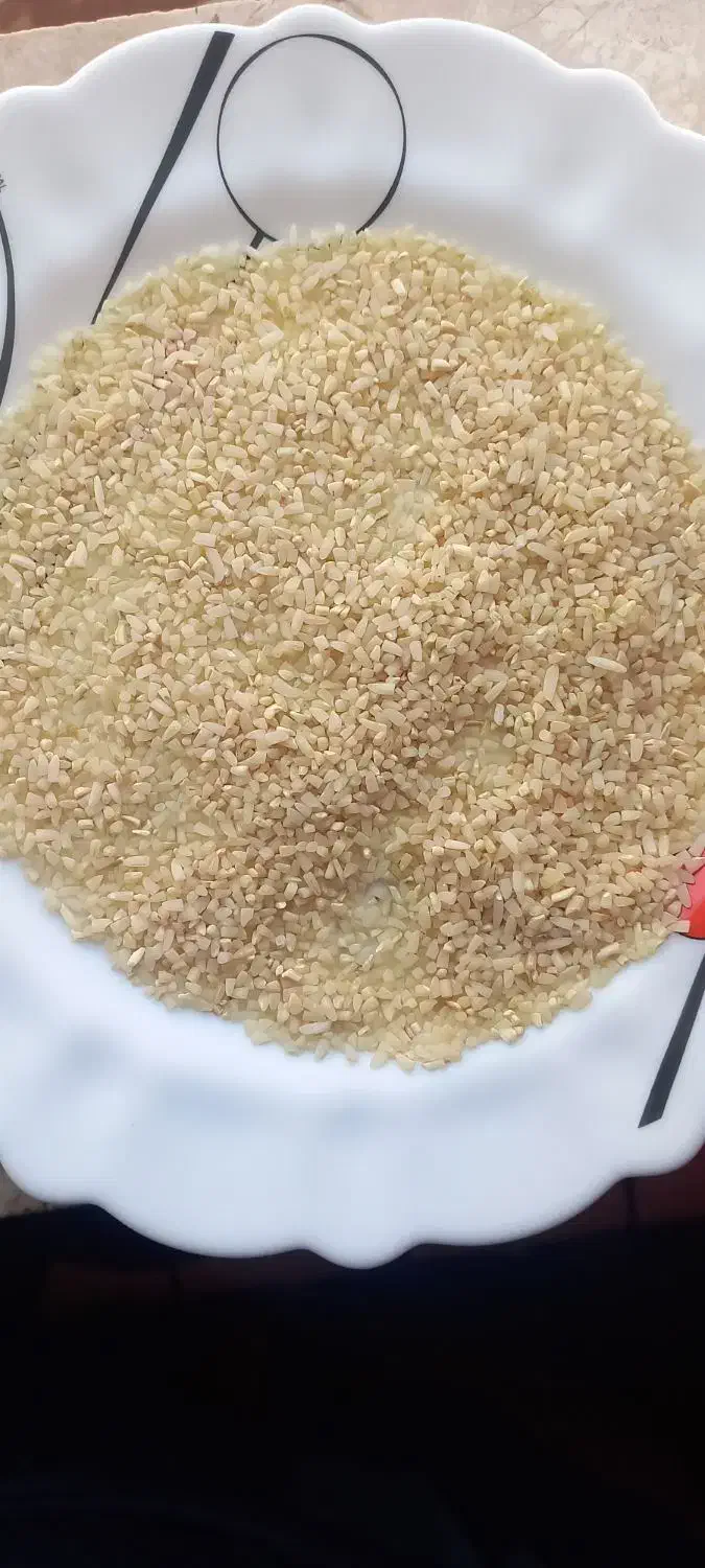 نیمدانه هاشمی|خوردنی و آشامیدنی|رشت, باهنر|دیوار