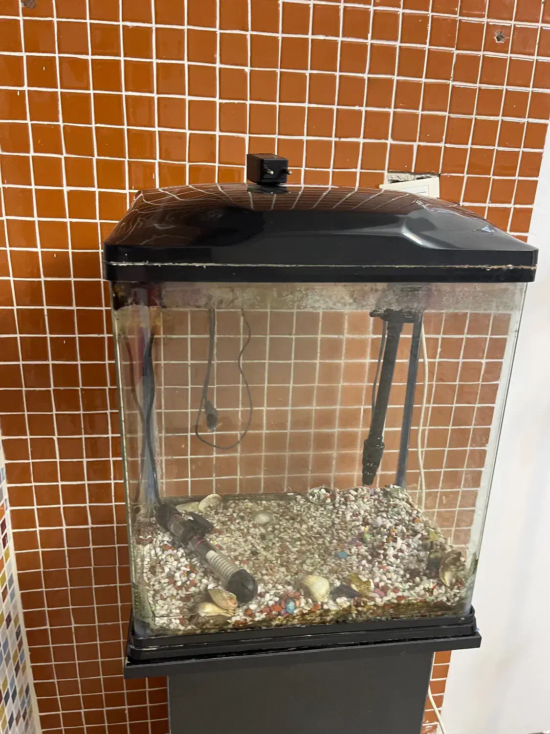 آکواریوم آماده|ماهی|گرگان, |دیوار