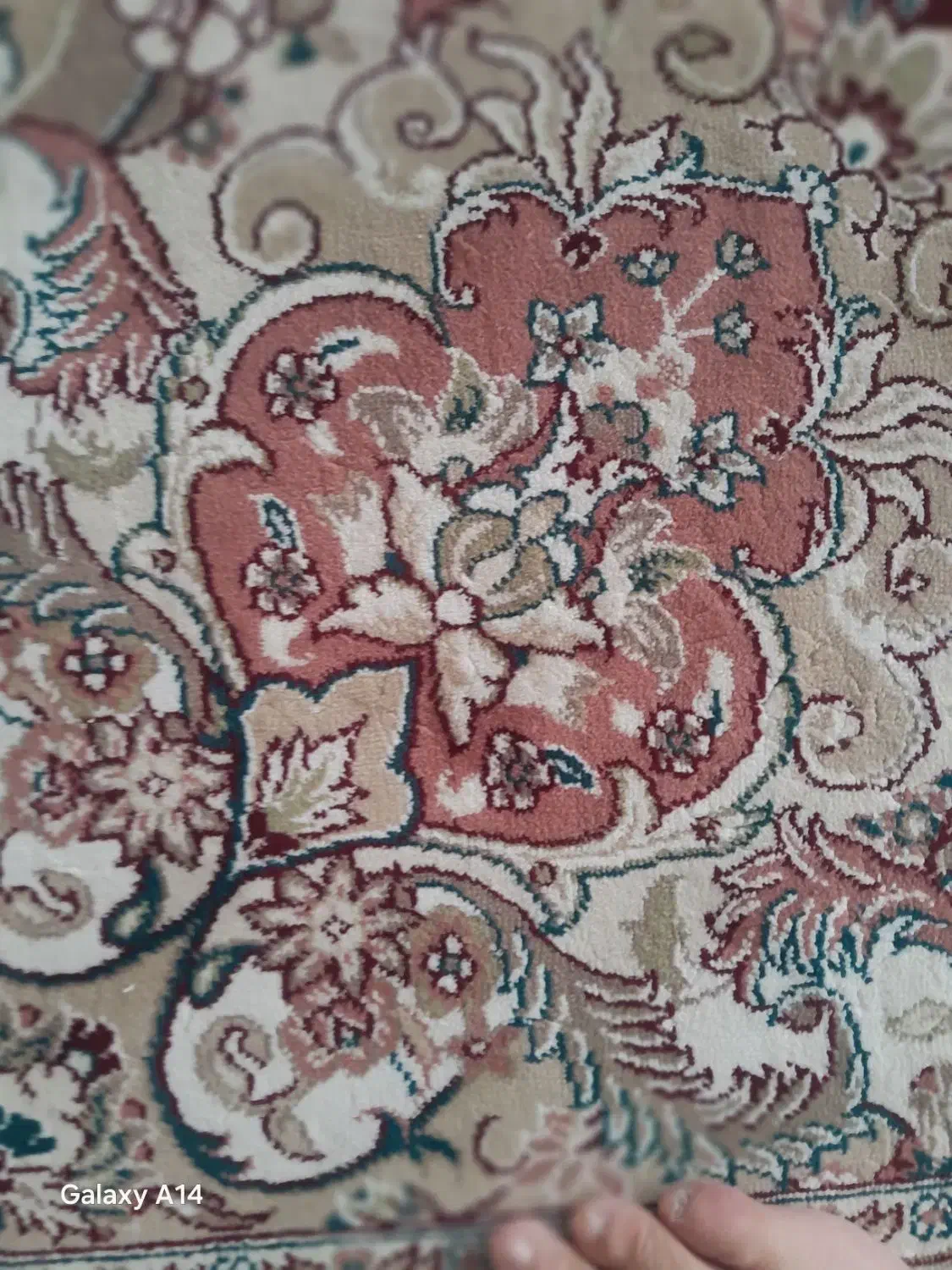 فرش ۱۲ متری گردویی|فرش|کرمانشاه, |دیوار