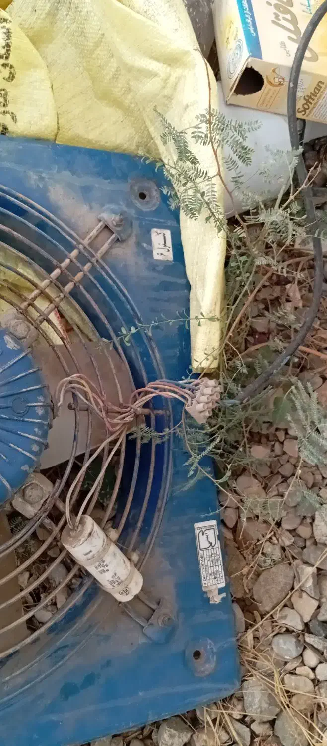 فن در حد نو|پنکه و تصفیهکنندهٔ هوا|گنبد کاووس, |دیوار