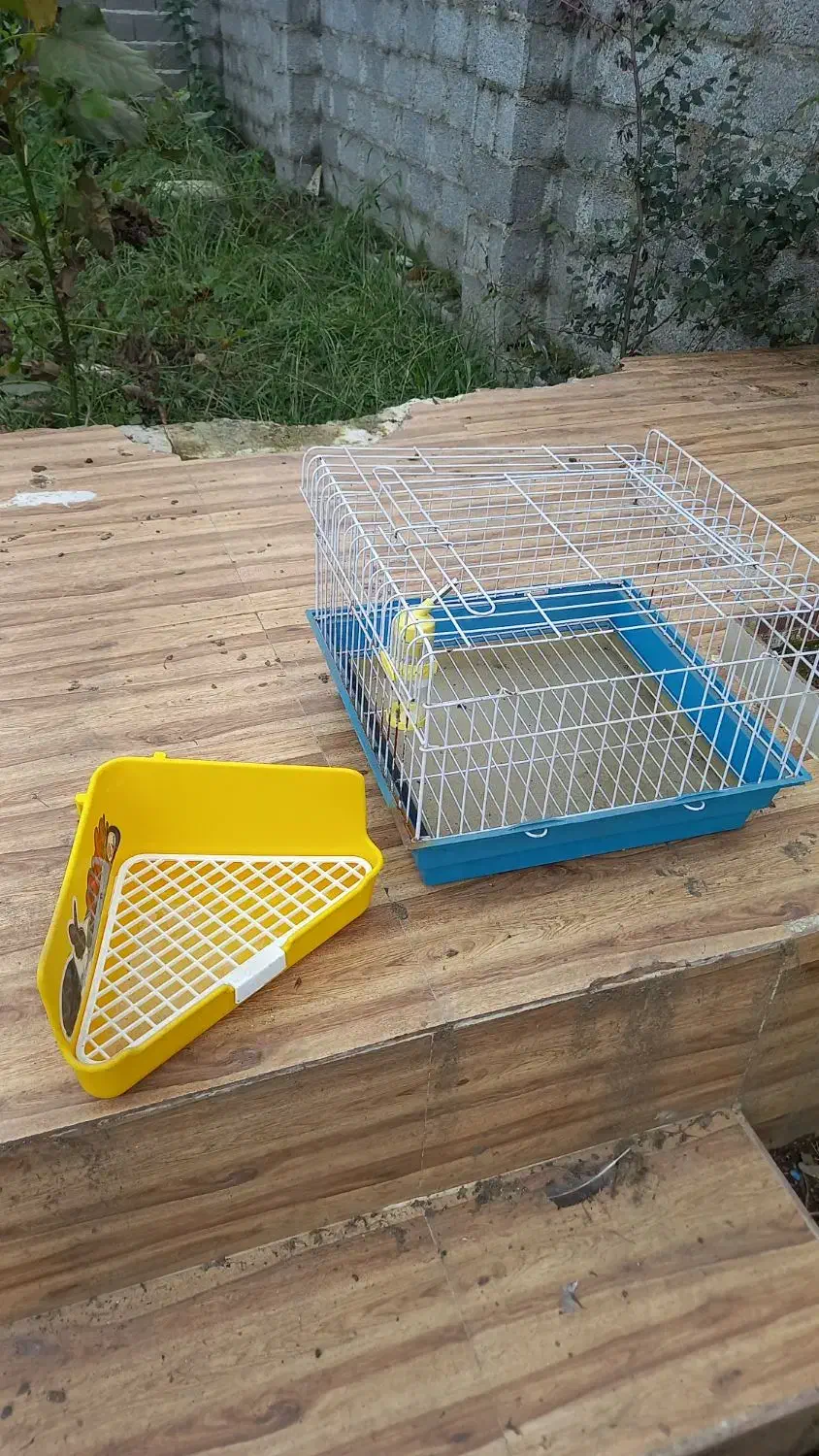 قفس خرگوش به همراه لوازم|موش و خرگوش|رشت, گلسار|دیوار