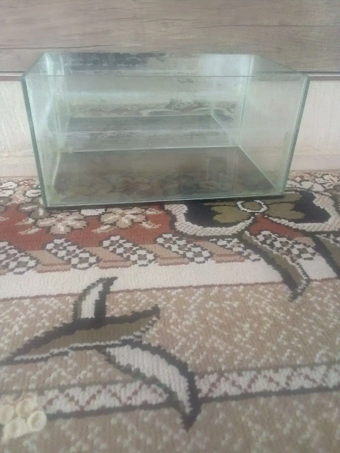 آکواریوم سالم بدون ترک|ماهی|تویسرکان, |دیوار