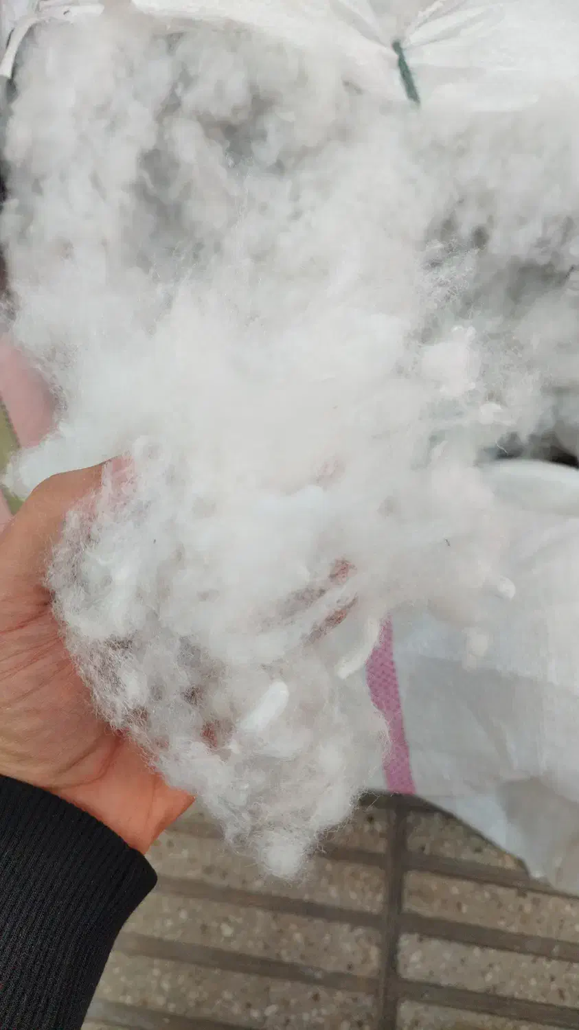 بالش الیافی یک کیلویی/بالشت عمده ایی|رختخواب، بالش، پتو|آفتاب, |دیوار