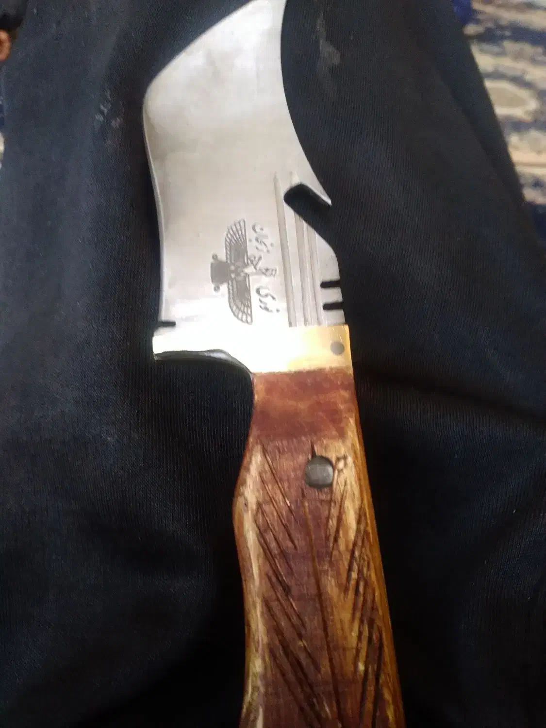 چاقو|ظروف پخت‌وپز|الشتر, |دیوار