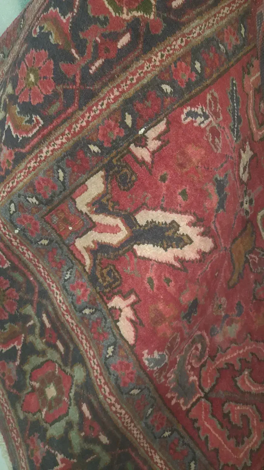 فرش دست بافت|فرش|بناب, |دیوار