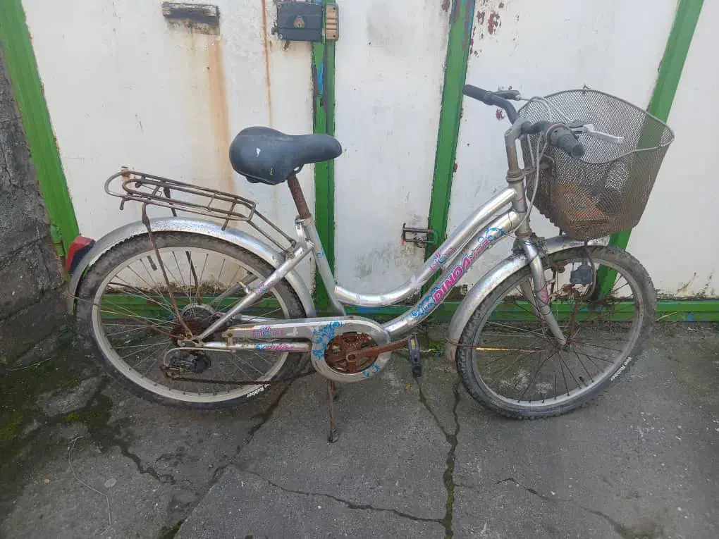 دوچرخه قناری|دوچرخه، اسکیت، اسکوتر|بندر انزلی, پیل علی باغ|دیوار