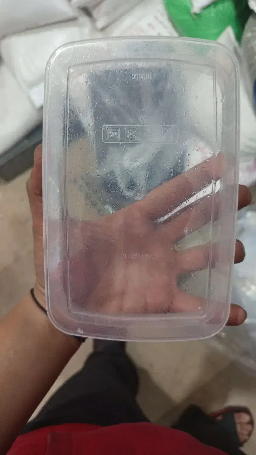 لاین خریت تره بار،کشتارگاه ،انبار نفت سراسره تهران|خدمات پذیرایی، مراسم|تهران, امام خمینی|دیوار