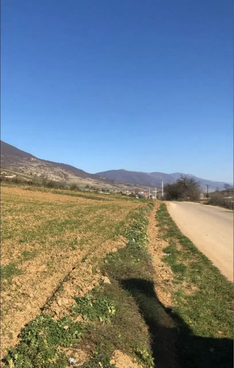 معاوضه زمین کیاسر به سمت دریاچه الندان بر آسفالت|فروش زمین و ملک کلنگی|کیاسر, |دیوار