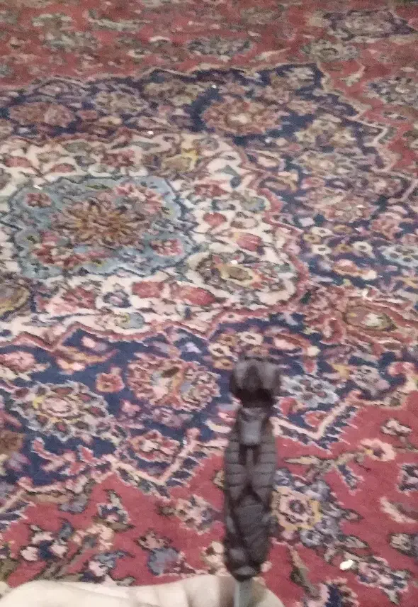 چوب سیگار کنده کاری|کلکسیون اشیاء عتیقه|زاهدان, |دیوار