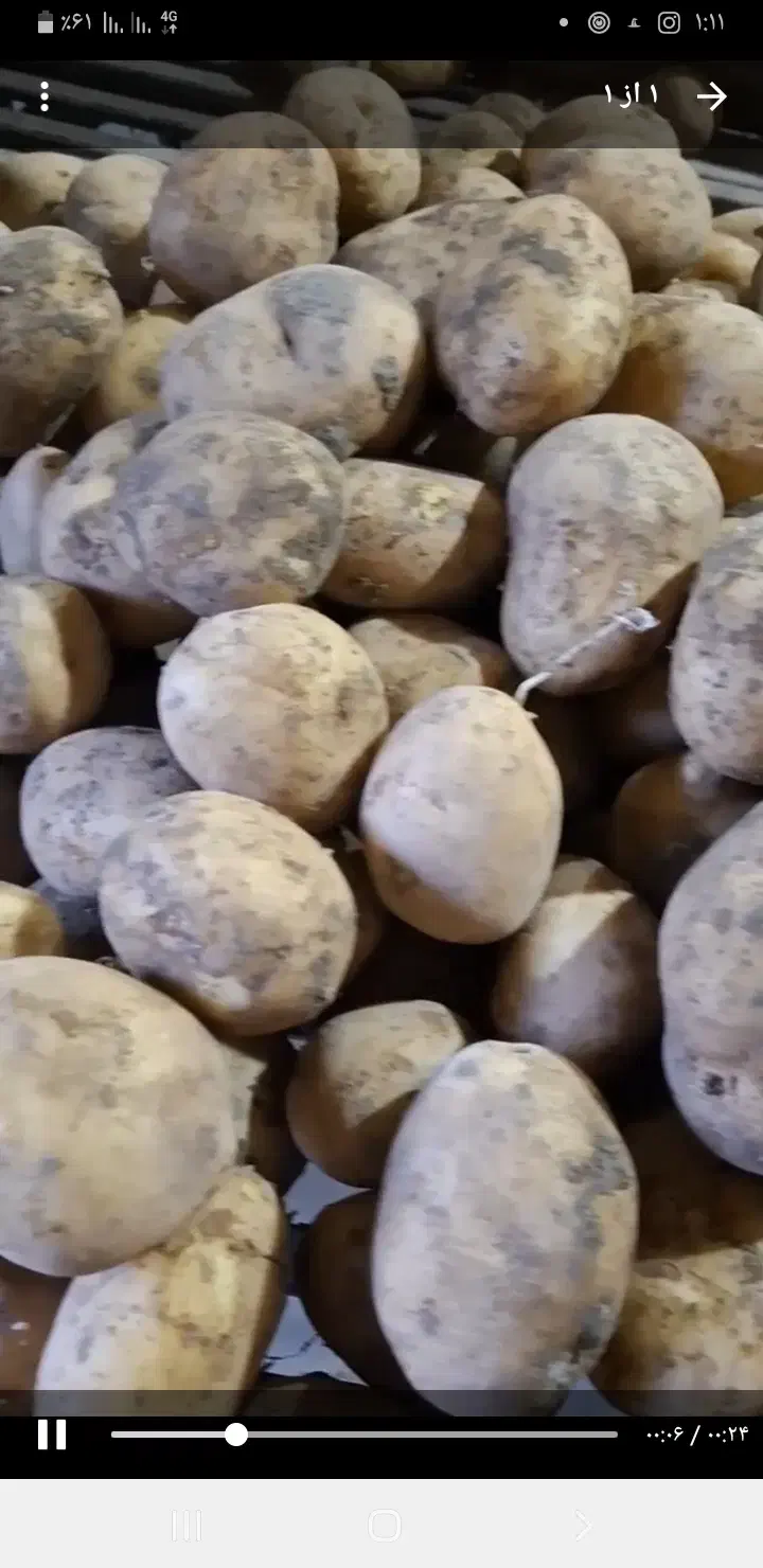 سیب زمینی جلی سوپر بار|خوردنی و آشامیدنی|دهگلان, |دیوار