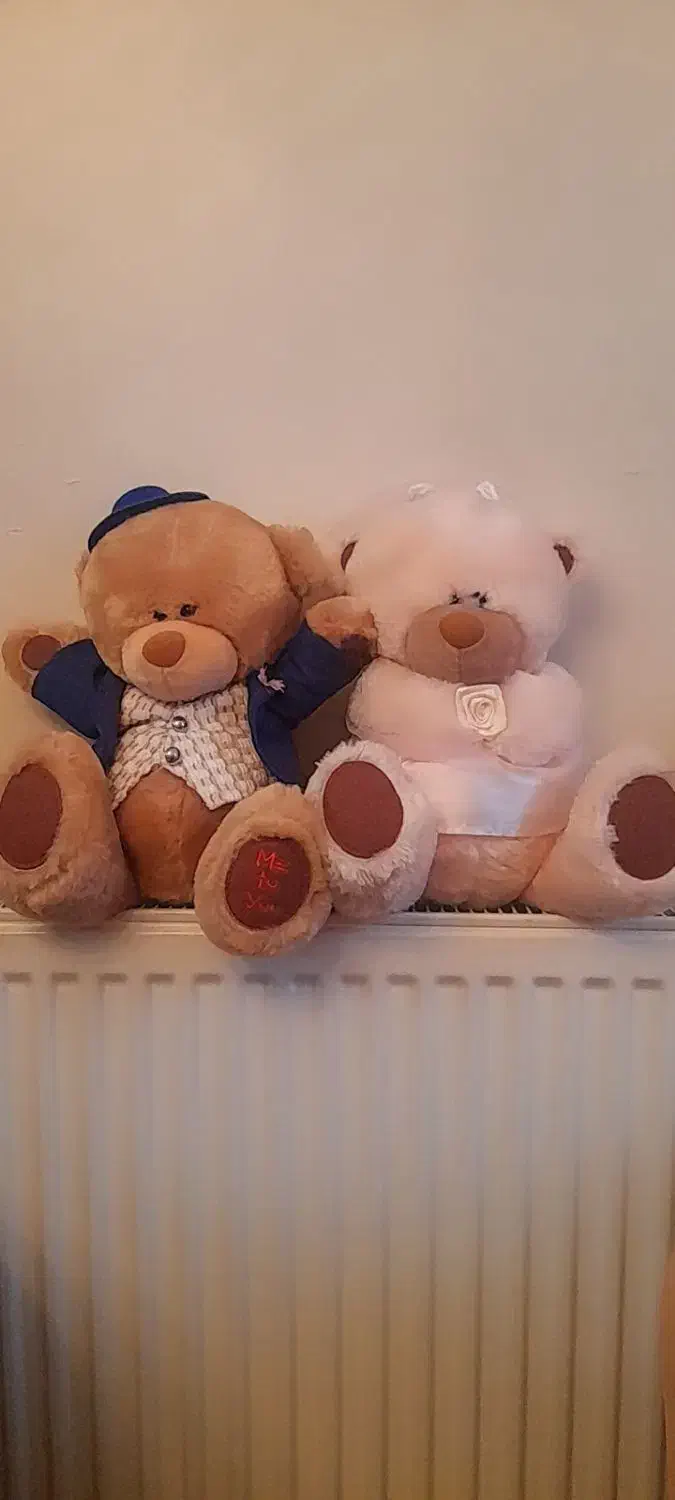 دوتا خرس خارجی پولیشی|اسباببازی بچه|تهران, درب دوم|دیوار