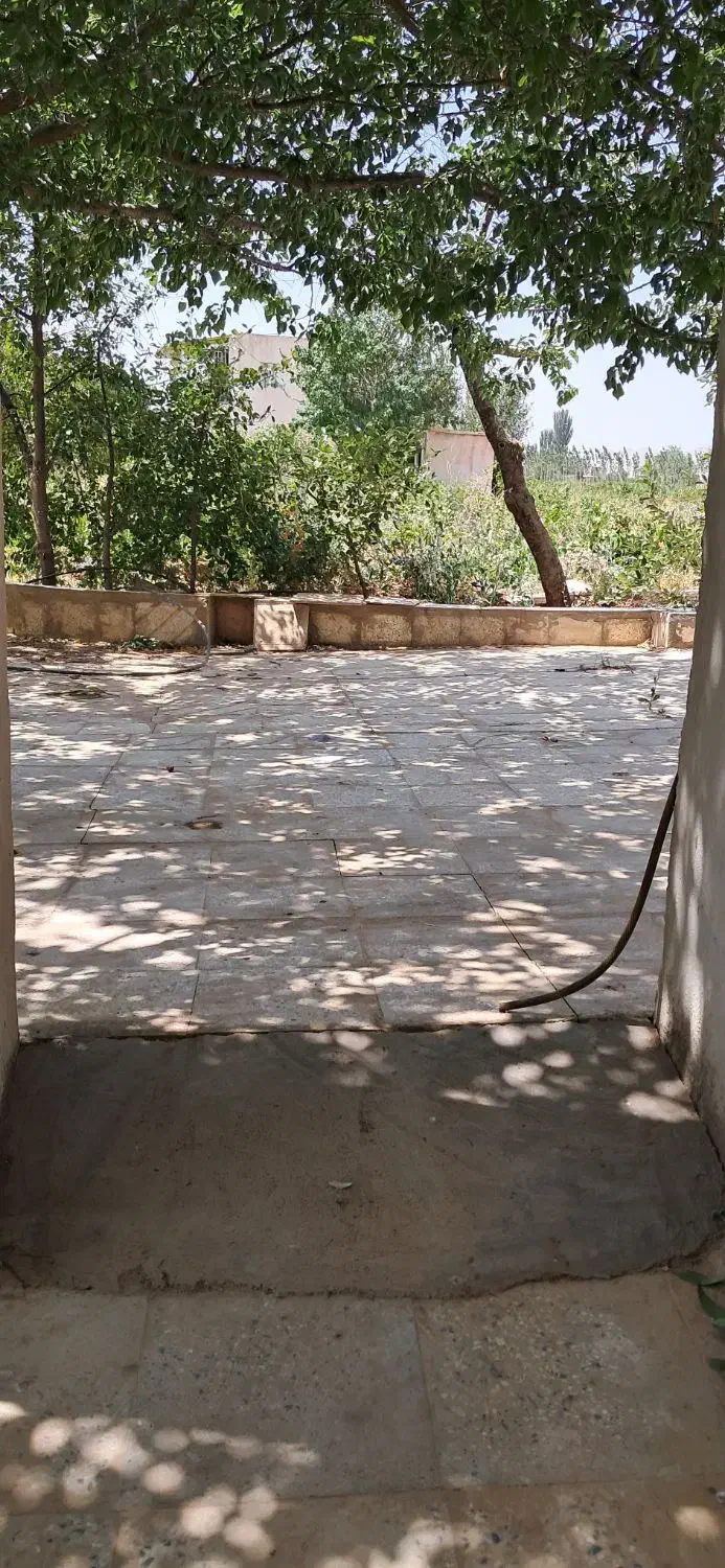باغ بهشت تاکستان|فروش دفتر صنعتی، کشاورزی، تجاری|اسفرورین, |دیوار