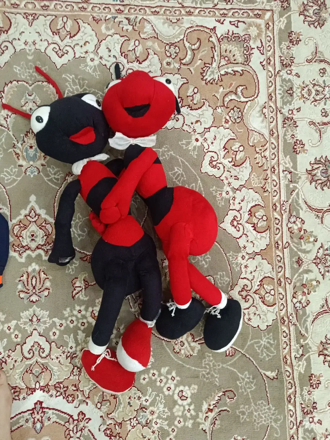 عروسک|اسباب‌بازی بچه|اردبیل, |دیوار