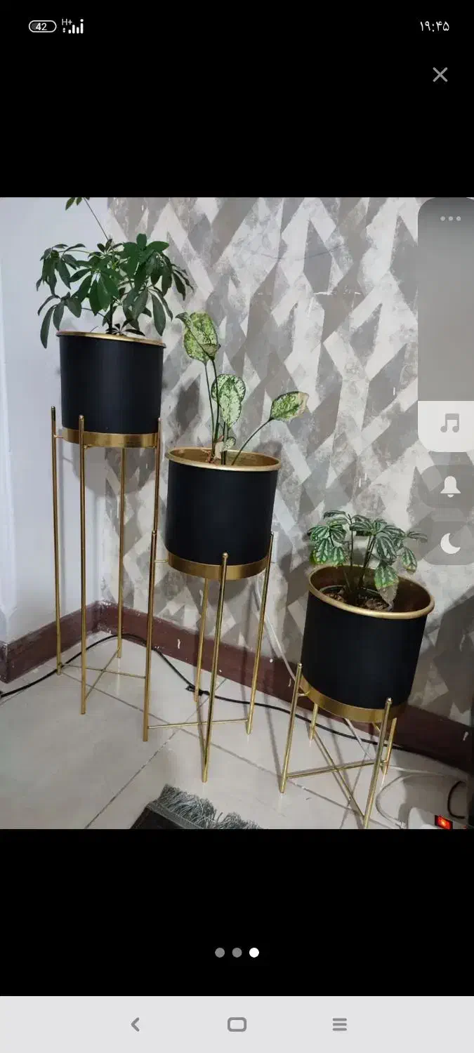 گلدان و گل|صنایع دستی و سایر لوازم تزئینی|گرگان, |دیوار